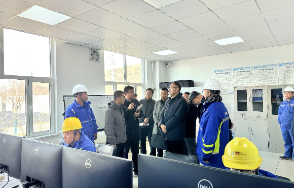 青海省生態(tài)環(huán)境廳黨組書記、廳長湯宛峰調(diào)研麥王項目