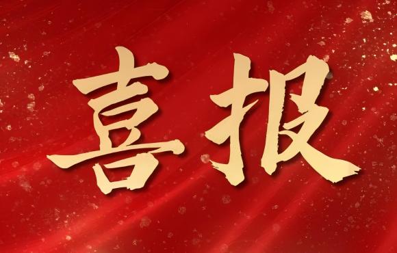 TOP 12！中節(jié)能國(guó)禎榮登中國(guó)品牌價(jià)值 “其他服務(wù)類”